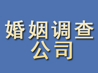 河东区婚姻调查公司